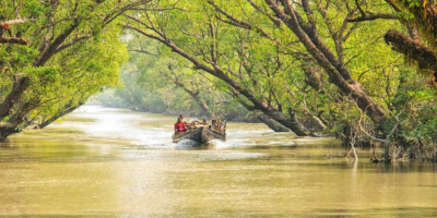 Sundarban Tour